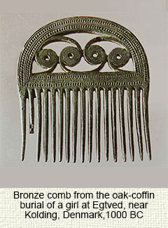 Viking comb
