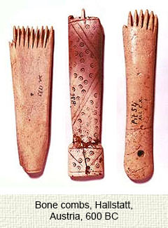Ancient bone comb