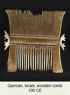 Ancient Israel comb