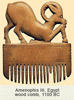 Egyptian wood comb