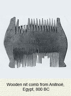 Egyptian wooden comb