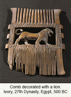 Egyptian ivory comb